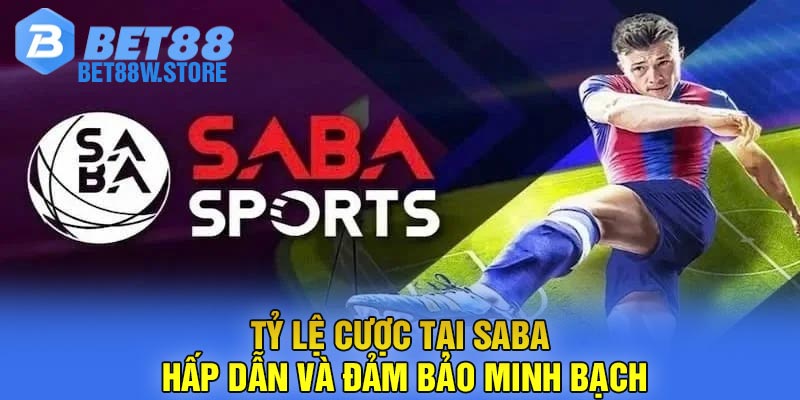 Tỷ lệ cược tại Saba hấp dẫn và đảm bảo minh bạch